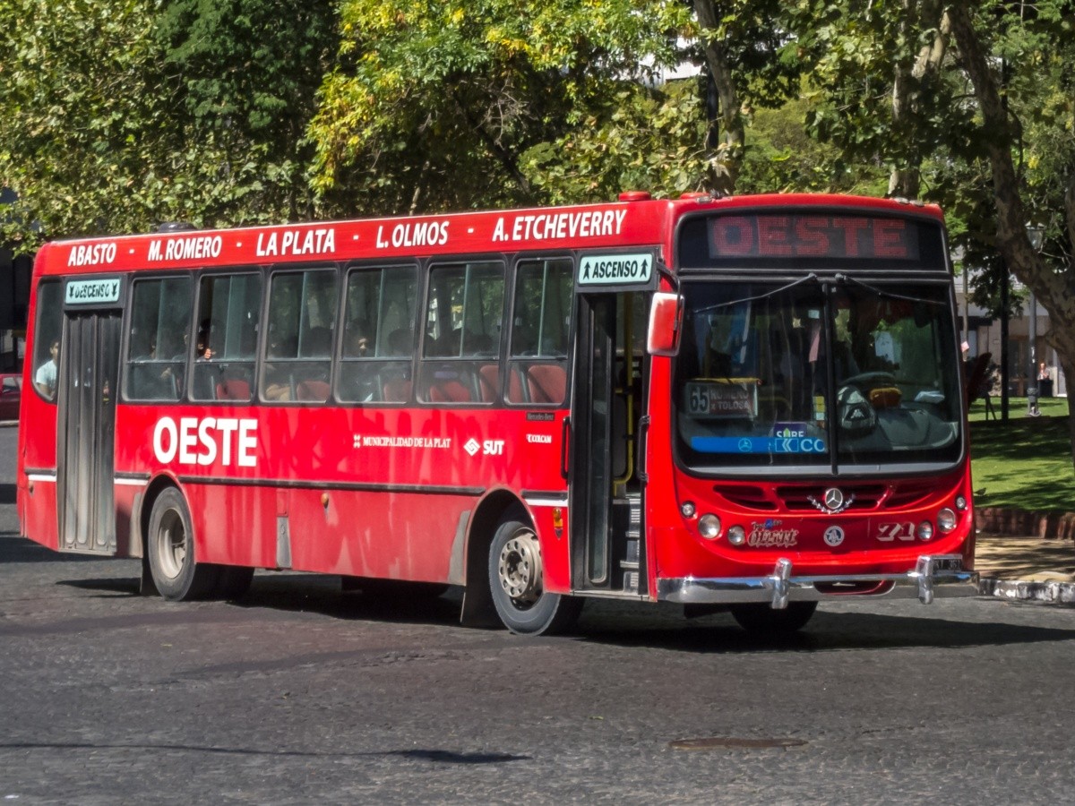 La Plata El Servicio De Transporte P Blico Retom La Frecuencia