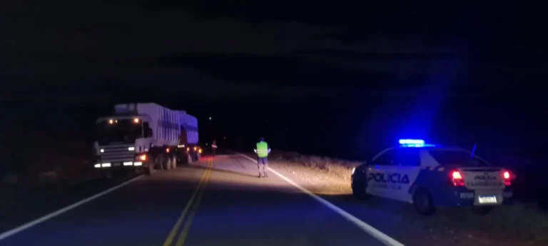 Camión varado provocó cortes de tránsito en la Ruta 40 a la altura de Neuquén