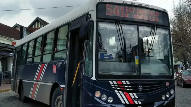 El recorrido de 6 líneas de colectivos se podrá observar de forma interactiva
