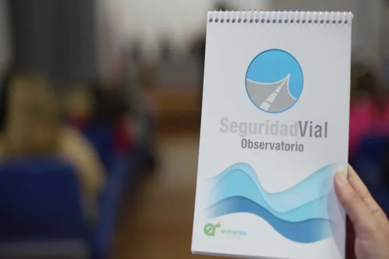 El Gobierno eliminó el Observatorio de Educación Vial y suspendió las jornadas escolares de concientización de género