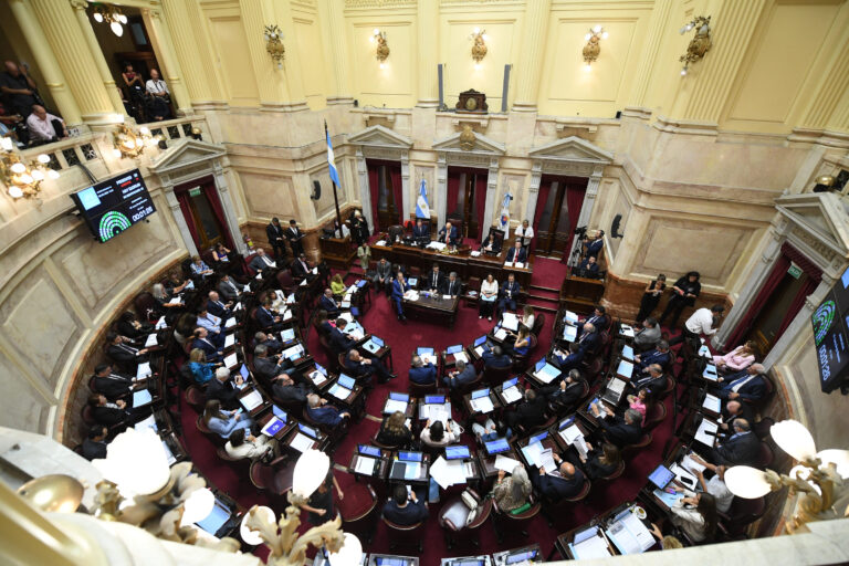 Marina Mercante: importante exposición en el Senado en vísperas del tratamiento del DNU 340/25